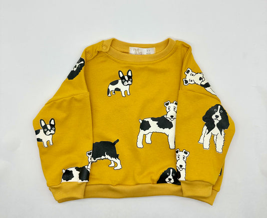Saco perritos